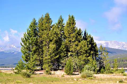 Molly Brown Campground Molly Brown Campground